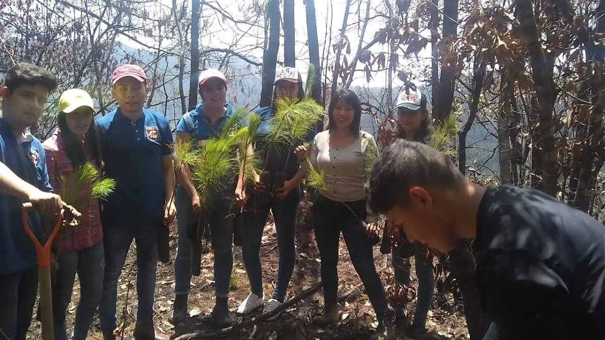 REFORESTAN 1